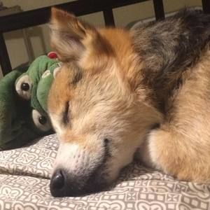 Meet your Posher, Elijah